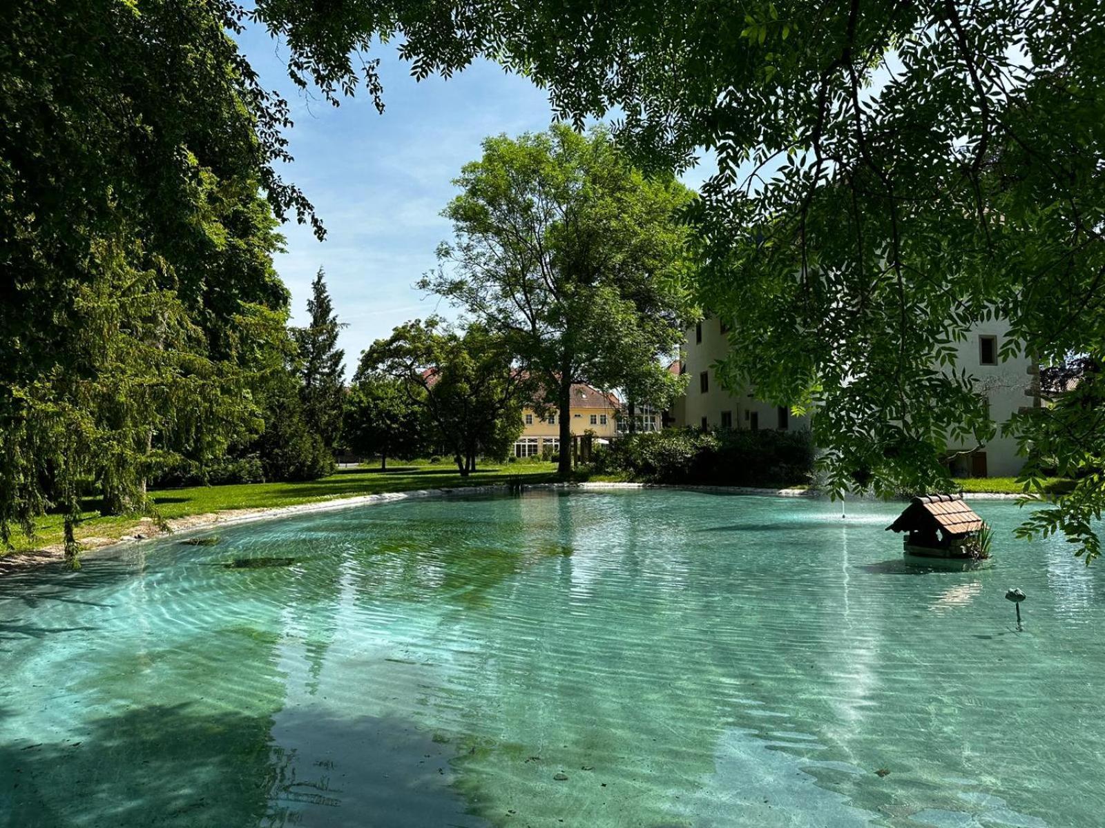 Schloss Neckarbischofsheim Kültér fotó