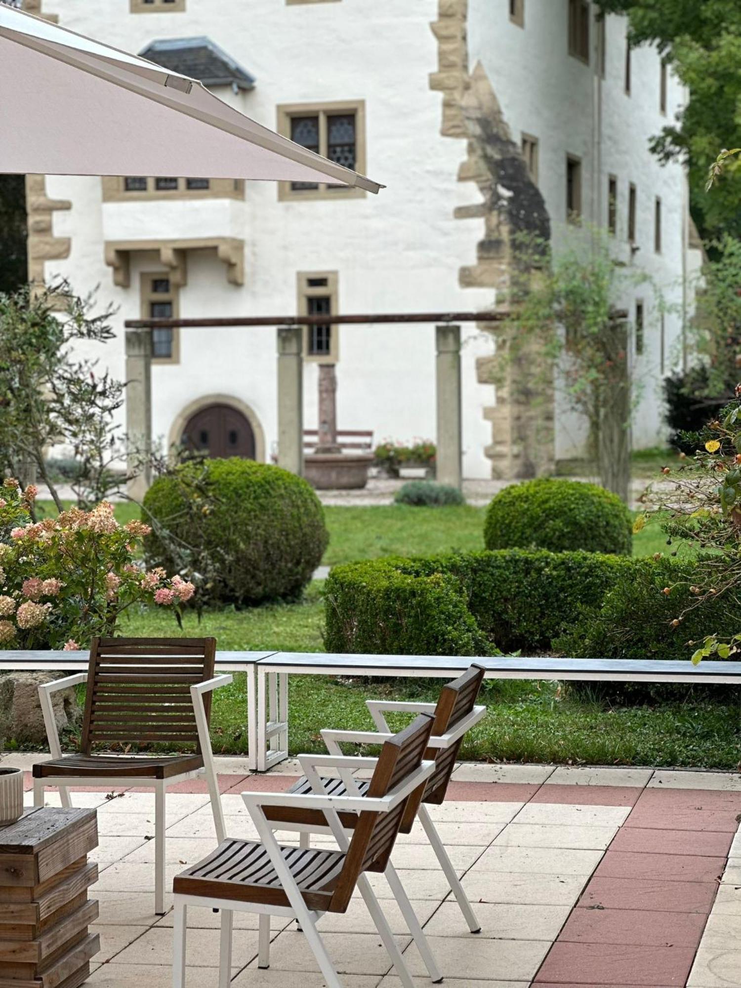 Schloss Neckarbischofsheim Kültér fotó